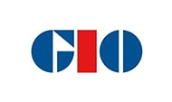 Insurance CIO